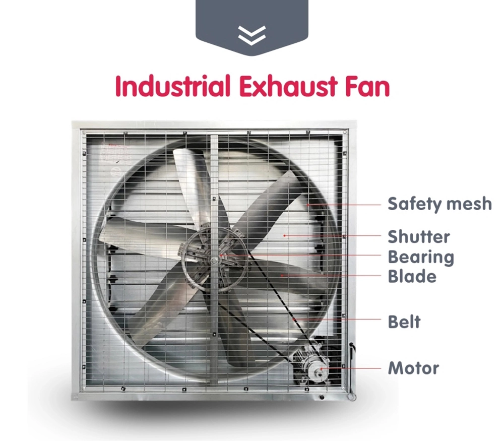 Exhaust Fan for Pig Farms in Industrial Greenhouses, Push-Pull Fans, Axial Fans Cooling Fan High Better Exhaust Fan