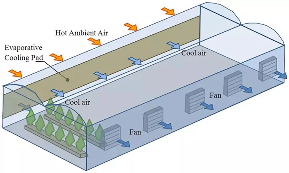 Exhaust Fan for Pig Farms in Industrial Greenhouses, Push-Pull Fans, Axial Fans Cooling Fan High Better Exhaust Fan