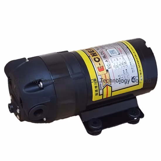 Brushless DC Motor Water Pump 1200gpd 4.5 L/<a href=
