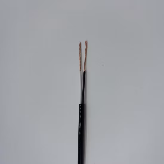 Insulated Flr2X11y 2 Cores Automativa Cable / Anti-Lock Brake System